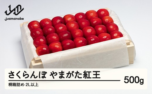 yR`RӒzss\t2026N R`Y I܂g ˔l500g ܂̂בckŶ tn-ybxxk500