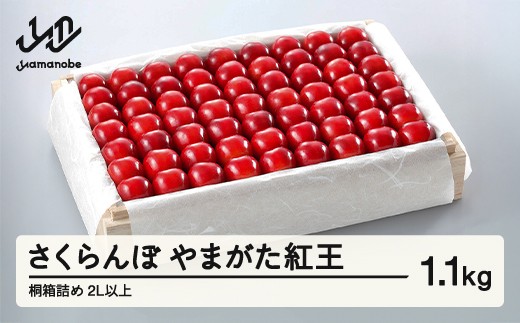 yR`RӒzss\t2026N R`Y I܂g ˔l1.1kg ܂̂בckŶ tn-ybxxk1100