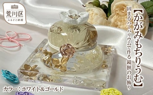 ysrzy݂肤ށzł܂n[oEō鋾݂̂(J[FzCgS[h)y071-005-3z