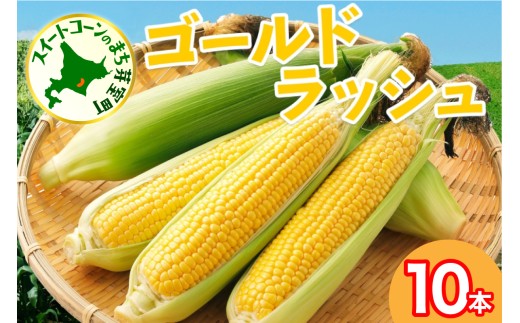 ykC莺zystzy2026N7{`8{zzkC\ 莺Y l Ƃ낱 S[hbV10{@me035-026c-26