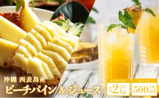 yꌧ|xznNs[`pC2kgi2ʁjƊÂƋlߍ100pCibvW[X1{ | pC@ʕ@t[c