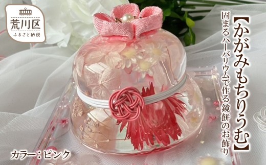 ysrzy݂肤ށzł܂n[oEō鋾݂̂(J[FsN)y071-005-1z