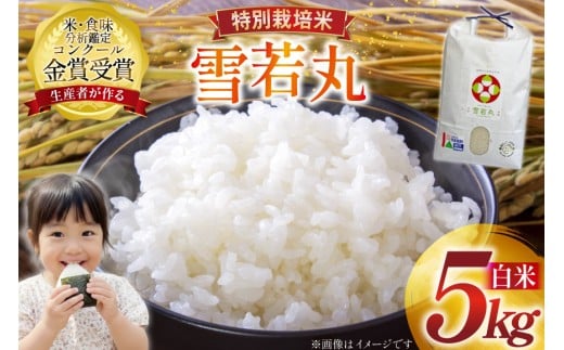 yR`z ߘa7NY  5kg ʍ͔|  [_Ƃ̑oĐYg R`  tk06ays900000] R  ͂  uh