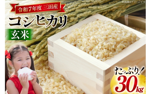 米 令和7年度産 コシヒカリ 玄米 30kg 兵庫県三田市産 [パスカルさんだ 