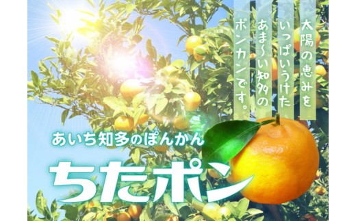 ちたポン（ぽんかん）5kg｜あいち知多のぽんかん 太田ぽんかん