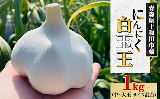 テレビ紹介＞青森にんにく白玉王1kg (産地直送・農家レシピ付き