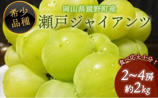 丹那　瀬戸ジャイアンツ２キロ 期間限定】 鏡野町産 瀬戸ジャイアンツ 2kg（2～4房） - 岡山県鏡野町