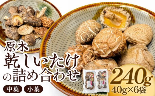 原木乾しいたけの詰め合わせ（かわしま農園）240g 大分県 玖珠町 原木