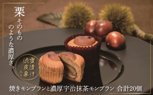 sd1_f9a29afe96ec646c631ba16949