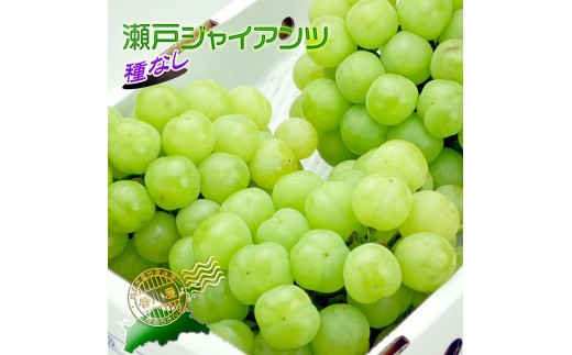 y쌧oszs2026NtŶĐ˃WCAc2kgyƒpz