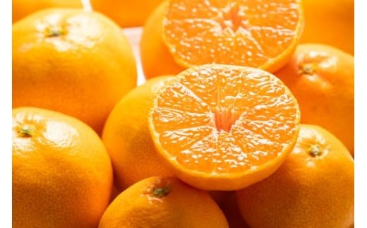 ymsz󂠂 ݂ 5kg Rk݂ ƒp 5kgi40`60j Rk݂炢 - ʕ t[c k B݂ ~J  A 킯 Y҉ Â  m 