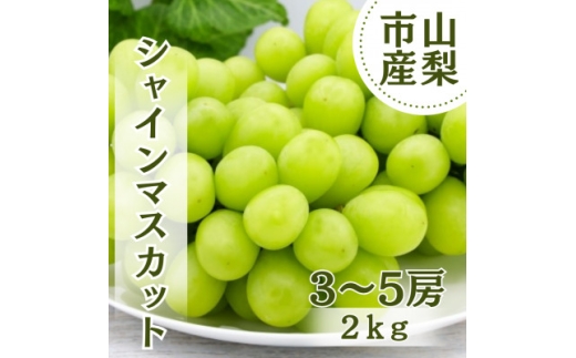 yRRsz2026Nst݂VC}XJbg 2kg(3`5[)y1689779z