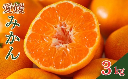 yQ쒬zQ݂ 3kg (ݕ⏞200gt)  ʕ k ݂  t[c [[ W[X IW Â x  r^~ e N Q 쒬 g{_   ݂