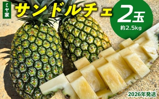 yꌧz~Ɓ@Th`F@2ʁi2.5kgj 2026N ꌧY  pCibv W[V[  t[c 썑t[c Yt[c _ƒ pC Th`F 