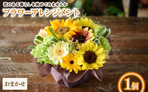 y{ʎszt[AWg(܂E1) ym56-04-CzyPorte-Bonheurz