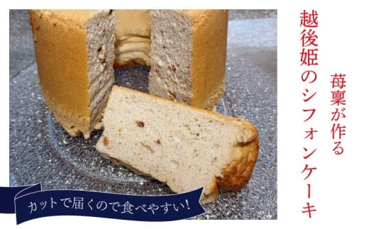 yVVcszVtHP[L  8؂ zP 1z[  C`S P[L lC s[ hC  َq mَq ① Mtg v[g ichirin005