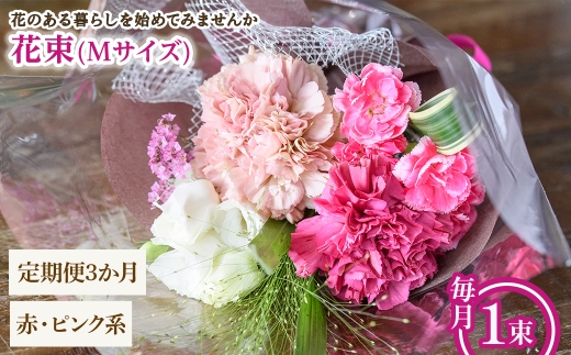 y{ʎszԑ(MTCYEԃsNnE3E1) ym56-05-MA3zyPorte-Bonheurz