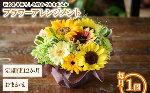 y{ʎszt[AWg(܂E12E1) ym56-06-C12zyPorte-Bonheurz