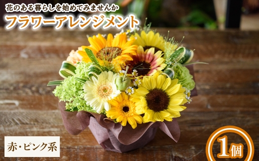 y{ʎszt[AWg(ԃsNnE1) ym56-04-AzyPorte-Bonheurz