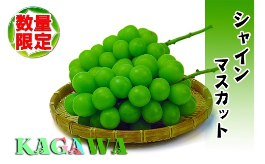 y쌧oszs2026NtGiVC}XJbg1kg̋lߍ킹yʌz