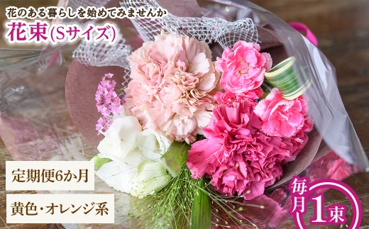 y{ʎszԑ(STCYEFIWnE6E1) ym56-05-SB6zyPorte-Bonheurz