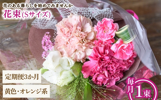 y{ʎszԑ(STCYEFIWnE3E1) ym56-05-SB3zyPorte-Bonheurz