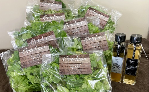 yRq~szyOrtolanozt@[XgNX̃T_ZhbVOZbg S-2 T_ hbVO lߍ킹 Zbg  R q~s