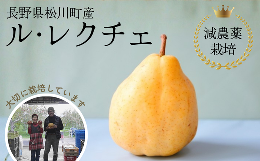 y쌧쒬zYN11-26A ys\zm EN`F  4kg Gi _͔|^2026N11{z\ // miV mȂ m N`F _͔| _ƒ _Ǝx 쌧 