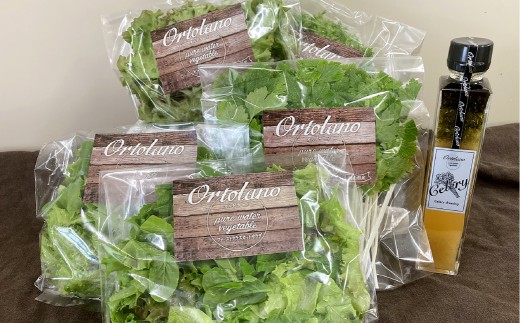 yRq~szyOrtolanozt@[XgNX̃T_ZhbVOZbg S-1 T_ hbVO lߍ킹 Zbg  R q~s