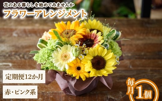 y{ʎszt[AWg(ԃsNnE12E1) ym56-06-A12zyPorte-Bonheurz