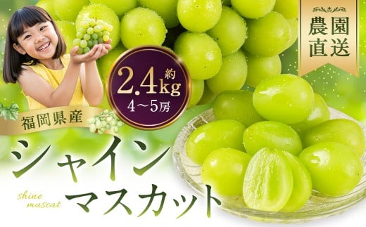 y}sz_I VC}XJbg 2.4kg 4?5[ y2026N8\z Ԃǂ }XJbg ʕ t[c