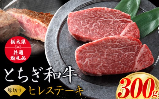 yȖ،ؒzјa Ƃa ؂ q tB A4`A5 ~ Ԑg Xe[L ɏ 300g ʌ  Ⓚ s30ȓɏoח\(yj)t Ⓚ  ȓ uh