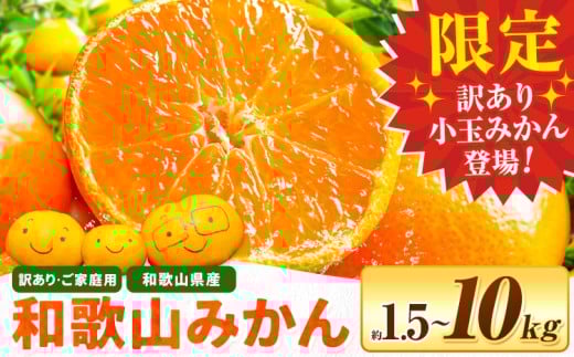 ya̎R쒬z݂y菬ʂ݂D]tIz 󂠂 Z a̎R ݂Iׂe 1.5kg 1.8kg 5kg 10kgs11{-12oׁta̎R 쒬 k k ʕ