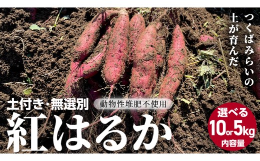 y錧΂݂炢sz_ Iׂe ^ 錧Y g͂邩 5kg 10kg yt I n ܂   Tc}C Â Ă XC[g|eg ˂Ƃ ΂݂炢s 錧Y