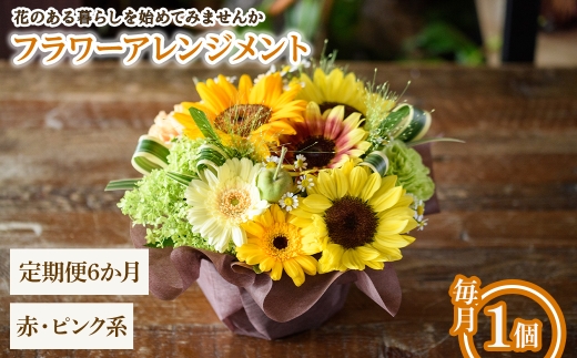 y{ʎszt[AWg(ԃsNnE6E1) ym56-06-A6zyPorte-Bonheurz