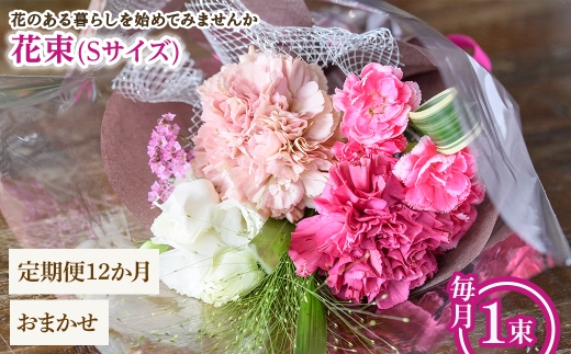 y{ʎszԑ(STCYE܂E12E1) ym56-05-SC12zyPorte-Bonheurz