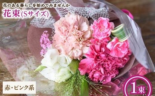 y{ʎszԑ(STCYEԃsNnE1) ym56-03-S-AzyPorte-Bonheurz