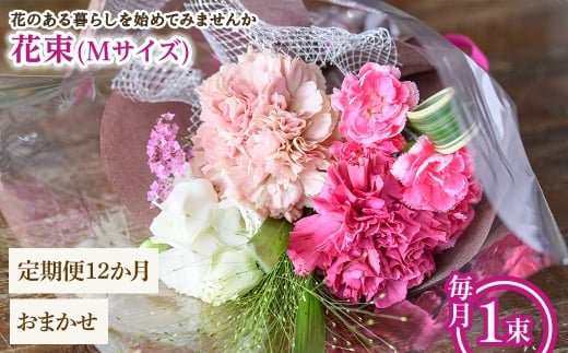 y{ʎszԑ(MTCYE܂E12E1) ym56-05-MC12zyPorte-Bonheurz