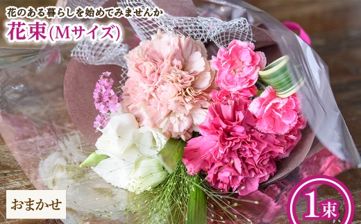 y{ʎszԑ(MTCYE܂E1) ym56-03-M-CzyPorte-Bonheurz