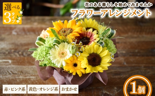 y{ʎszIׂ^Cvt[AWg(ԃsNn/FIWn/܂E1) ym56-04zyPorte-Bonheurz