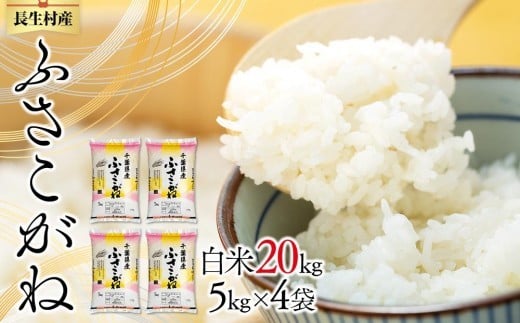 ytzE01-B02-00 ߘa7NY Yӂˁi20kgEāj