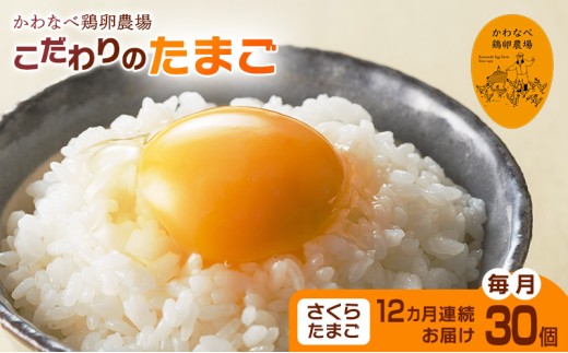 ys~szyցzȂ׌{_̂̂܂炽܂3012A͂/ Y ~sY {   ܂ ^}S ʎq H  sjf ł