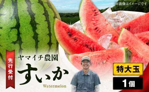 y_ސ쌧OYszyOY_ƒzʃXCJi1j@M003-004