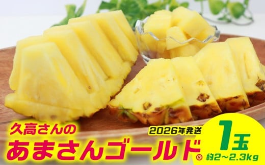 yꌧzv̂܂S[h 1ʁi2`2.3kgj 2026N ꌧY  pCibv W[V[  t[c 썑t[c Yt[c _ƒ pC ʕ 蕨