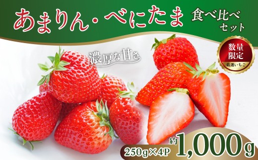 いちご あまりん べにたま 食べ比べ セット 合計250g×4パック | いちご