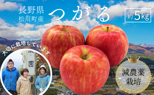 りんご YN06-26A 【先行予約】りんご つがる 約5kg 減農薬栽培 秀品／2026年8