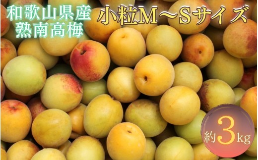 紀州和歌山県産 熟南高梅 生うめ 優品 約3kg (S、Mサイズおまかせ)+3