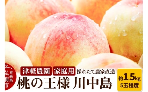 yXOOszy26N8zy2026NY ̉l 쒆zƒp 1.5kg 5ʒx Ìy_ ̂ꂽ _ƒ