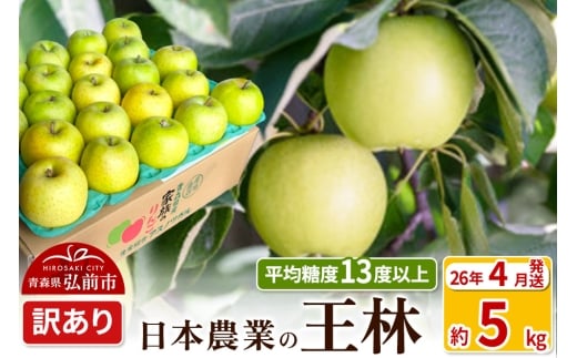 yXOOszy26N4z ϓx13xȏI  5kg 󂠂 CA N[ X ʕ t[c ь S  s KiO