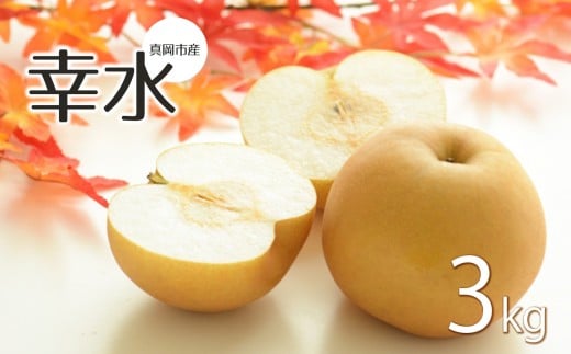 yȖ،^szy2026Ns\z K 3s  ^sY  Ȃ| ʕ  t[c  Ȃ v[g J Â  H 傫 